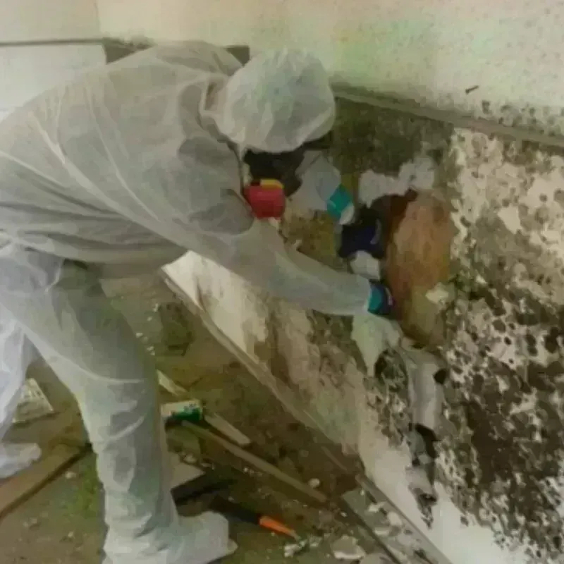 Mold Remediation and Removal in Beckett Ridge, OH